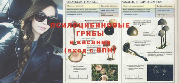 каннабис Протвино