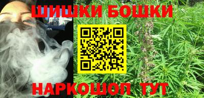 индика Можайск